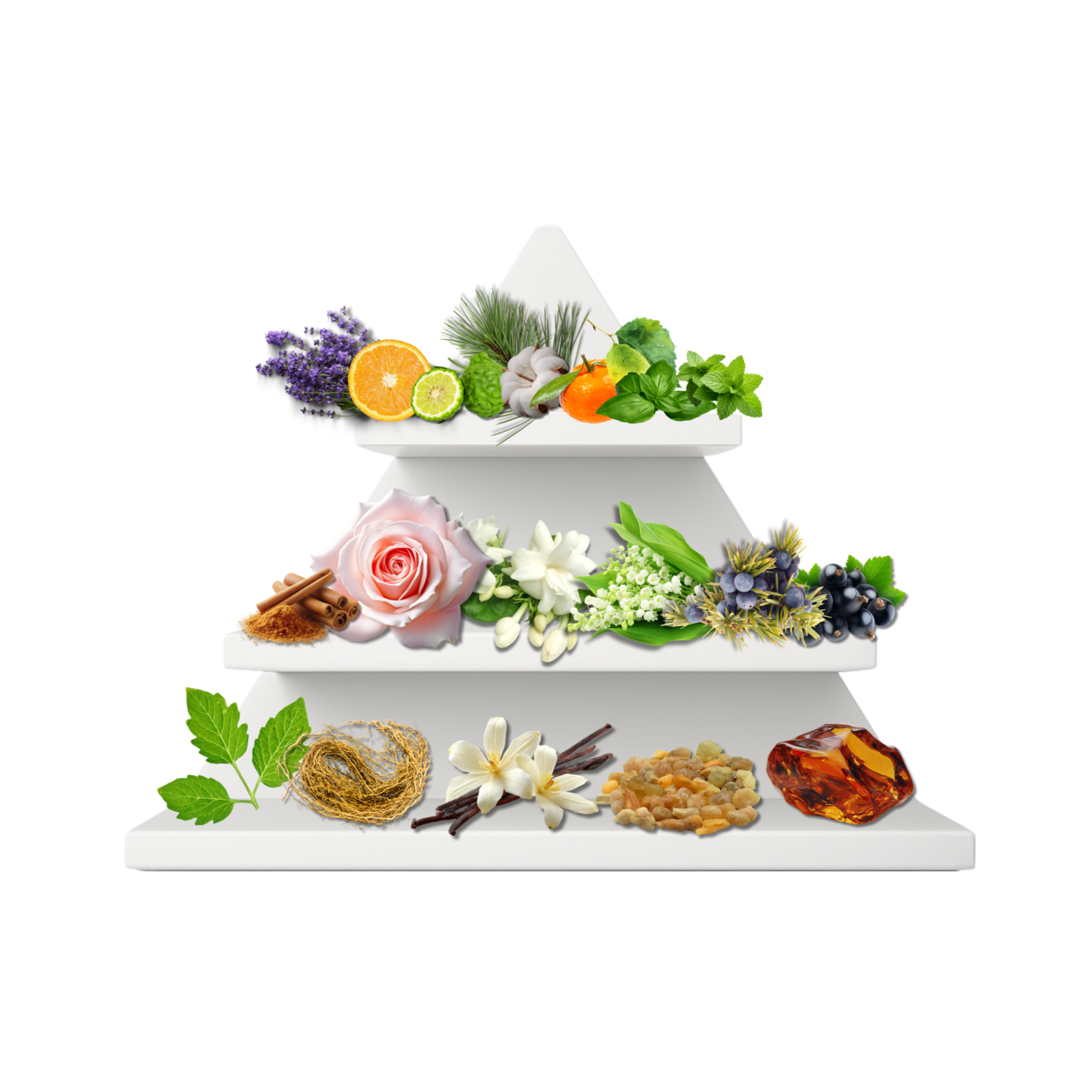 Arctic Whisper Duftpyramide